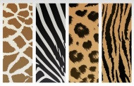 גרפיקה וקטורית להורדה – 4 טקסטורות של עור של חיות