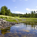 רקעים של אגם בטבע
