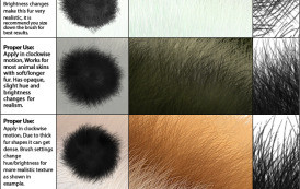 מברשות לפוטושופ של פרווה