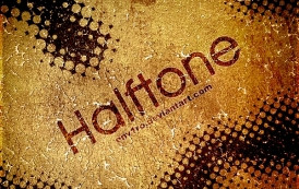 מברשות מיוחדות של רשת נקודות