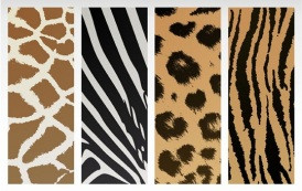 גרפיקה וקטורית להורדה – 4 טקסטורות של עור של חיות