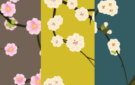 פטרנים של פריחה